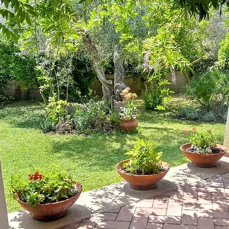 Pontes Holiday home Marina di Orosei