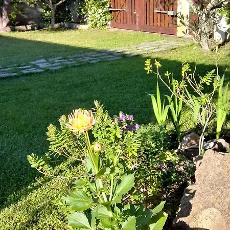Casa de Férias Pontes *